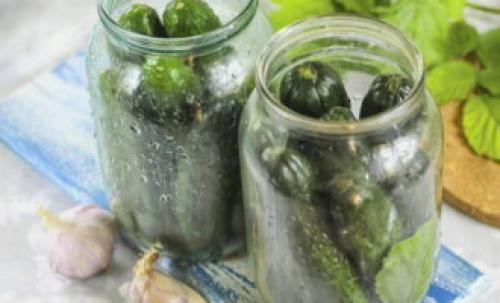 Засолка огурцов холодным способом под капроновую крышку. Соленые огурцы холодным способом на зиму – 8 очень вкусных рецептов