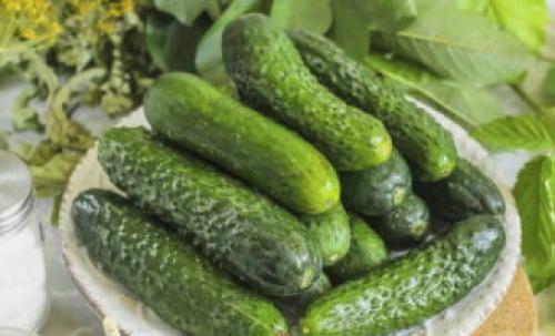 Засолка огурцов холодным способом под капроновую крышку. Соленые огурцы холодным способом на зиму – 8 очень вкусных рецептов