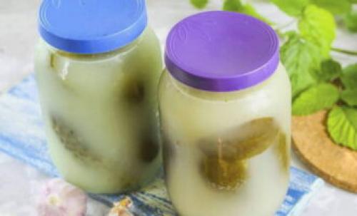 Засолка огурцов холодным способом под капроновую крышку. Соленые огурцы холодным способом на зиму – 8 очень вкусных рецептов