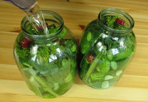 Огурцы холодным способом, как бочковые. Солёные огурцы на зиму в банках холодным способом — 5 рецептов хрустящих огурцов