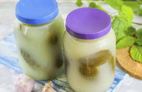 Засолка огурцов холодным способом под капроновую крышку. Соленые огурцы холодным способом на зиму – 8 очень вкусных рецептов