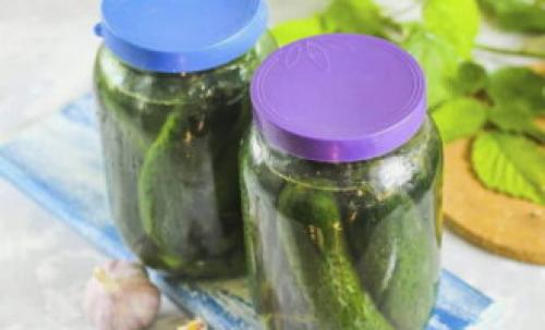 Засолка огурцов холодным способом под капроновую крышку. Соленые огурцы холодным способом на зиму – 8 очень вкусных рецептов