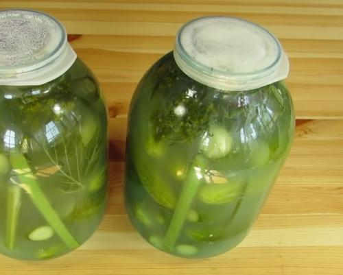 Огурцы холодным способом, как бочковые. Солёные огурцы на зиму в банках холодным способом — 5 рецептов хрустящих огурцов