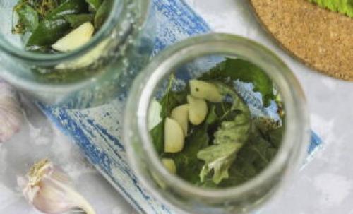 Засолка огурцов холодным способом под капроновую крышку. Соленые огурцы холодным способом на зиму – 8 очень вкусных рецептов