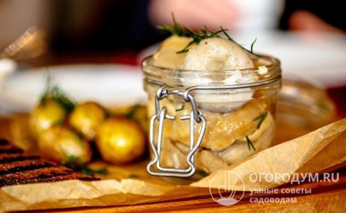 Как переделать соленые грузди. Как засолить белые грузди, чтобы были хрустящими и ароматными: рецепты