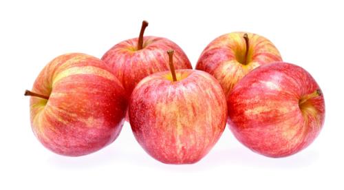 Осенние яблоки сорта. Осенние сорта яблонь 05 Осенние яблоки сорта. Осенние сорта яблонь 05