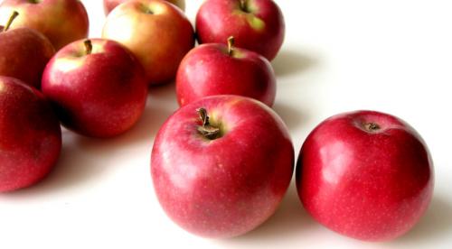 Осенние яблоки сорта. Осенние сорта яблонь 03 Осенние яблоки сорта. Осенние сорта яблонь 03