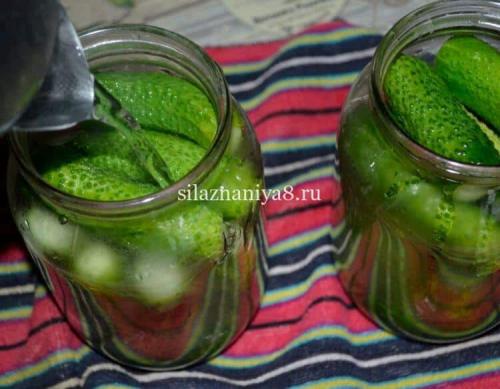 Огурцы на зиму без сахара. огурцы на зиму 04 Огурцы на зиму без сахара. огурцы на зиму 04
