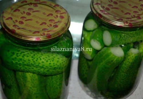 Огурцы на зиму без сахара. огурцы на зиму 05 Огурцы на зиму без сахара. огурцы на зиму 05