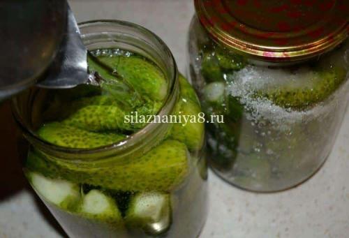 Огурцы на зиму без сахара. огурцы на зиму 07 Огурцы на зиму без сахара. огурцы на зиму 07