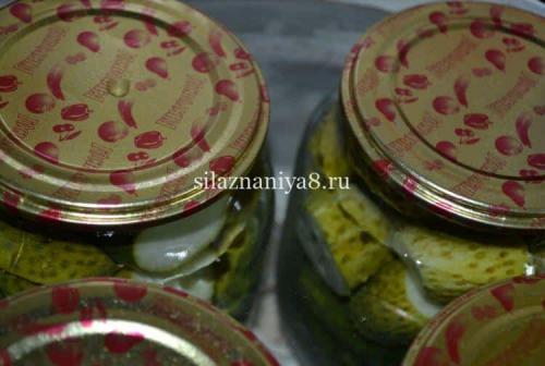 Огурцы на зиму без сахара. огурцы на зиму 14 Огурцы на зиму без сахара. огурцы на зиму 14