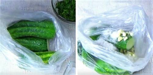 Малосольные огурцы в пакете без сахара. Базовый рецепт малосольных огурцов в пакете за 5 минут – быстрый способ