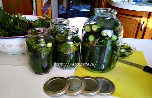 Огурцы на зиму без сахара. огурцы на зиму 26 Огурцы на зиму без сахара. огурцы на зиму 26