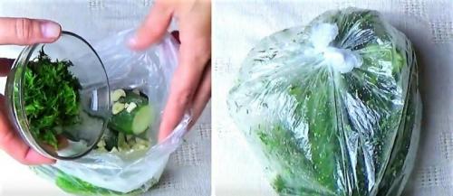 Малосольные огурцы в пакете без сахара. Базовый рецепт малосольных огурцов в пакете за 5 минут – быстрый способ