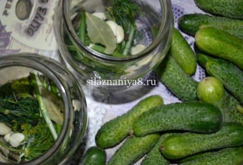 Огурцы на зиму без сахара. огурцы на зиму 03 Огурцы на зиму без сахара. огурцы на зиму 03