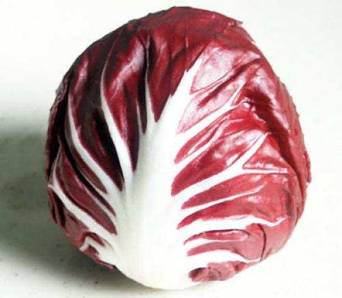 Цикорный салат пала росса. Разновидности салатного цикория 06 Цикорный салат пала росса. Разновидности салатного цикория 06