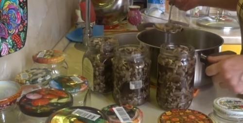 Как мариновать опята на зиму в банках. Простой рецепт: