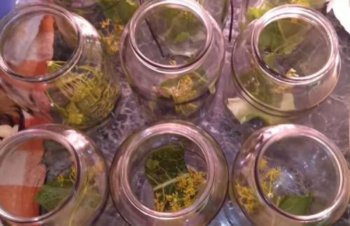 Маринуем огурцы с лимонной кислотой на зиму без стерилизации. Огурцы с лимонной кислотой — рецепт на литровую банку 06