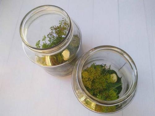 Сладкие маринованные огурцы с лимонной кислотой. Сладкие огурцы на зиму маринованные – 8 рецептов хрустящих огурцов