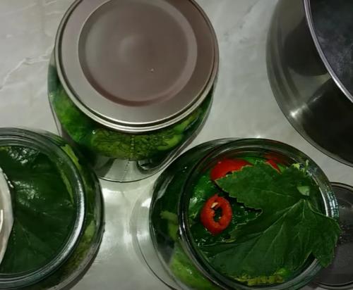 Маринуем огурцы с лимонной кислотой на зиму без стерилизации. Огурцы с лимонной кислотой — рецепт на литровую банку 04