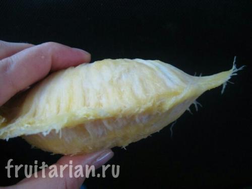 Бам балан: уникальный фрукт из Википедии 04 Бам балан: уникальный фрукт из Википедии 04