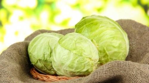 Как хранить белокочанную капусту в холодильнике. Как хранить капусту?