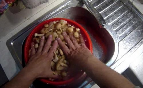 Рецепт квашеных опят. Квашеные опята: рецепты заготовок на зиму