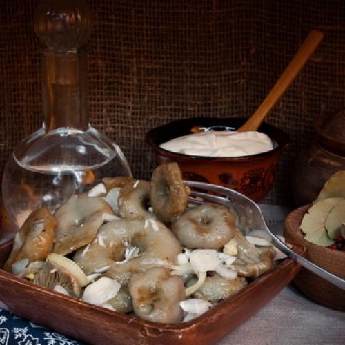 Рецепт квашеных опят. Квашеные опята: рецепты заготовок на зиму