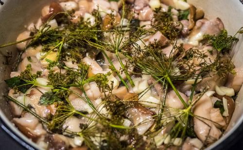 Рецепт квашеных опят. Квашеные опята: рецепты заготовок на зиму