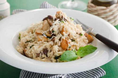 Опята рецепты. 20 простых и вкусных блюд с опятами