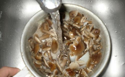 Рецепт квашеных опят. Квашеные опята: рецепты заготовок на зиму