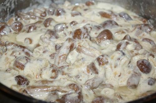 Опята рецепты. 20 простых и вкусных блюд с опятами