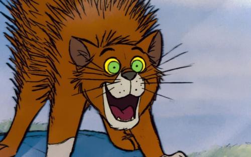 Кот шипит без причины. Причины