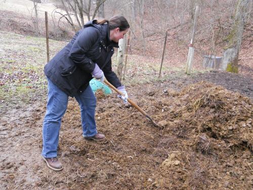 Навоз: оптимальные количества для 1 квадратного метра 03