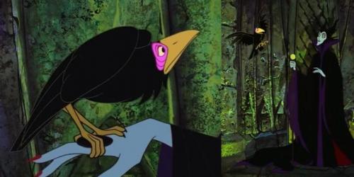 Какие другие животные могут быть связаны с приметными значениями. Что Вселенная хочет вам сказать, если вам на глаза часто попадаются эти животные