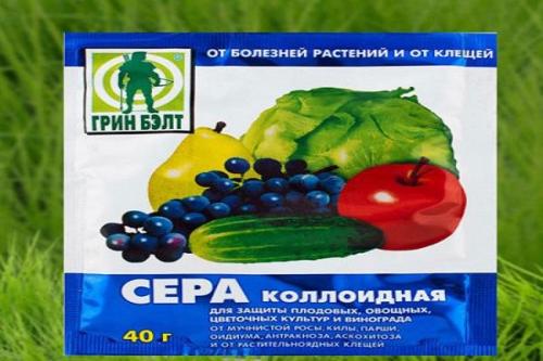 Весенняя обработка пионов от болезней. Применение фунгицидных препаратов для профилактики и подавления болезни