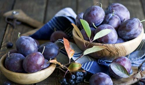 Как правильно хранить чудо-заготовку из сливы. Хранение сливы с последующим дозреванием