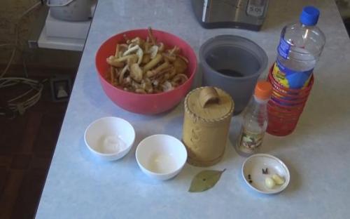 Маринованные опята на зиму простой рецепт. Самый вкусный рецепт маринованных опят
