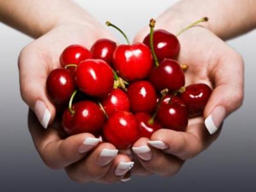 Вишня стойкая: все, что нужно знать о сорте 04 Вишня стойкая: все, что нужно знать о сорте 04