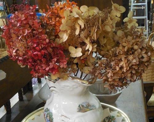 Букеты из сухой гортензии. Как сохранить цветы гортензии для зимнего букета