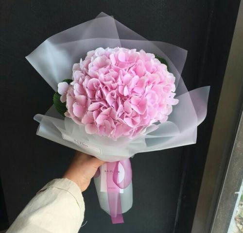 Как засушить гортензию метельчатую. Как сушить гортензию, чтобы она не меняла цвет