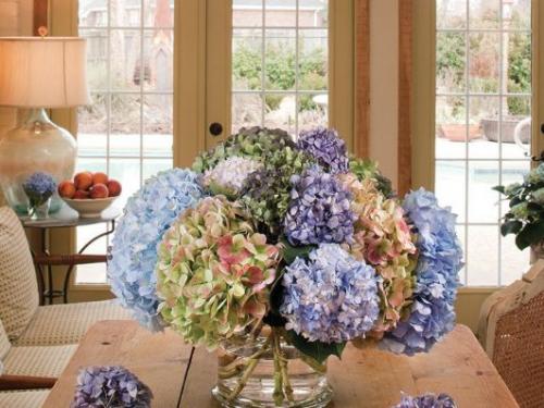 Букеты из сухой гортензии. Как сохранить цветы гортензии для зимнего букета