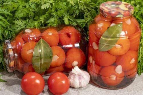 Какие помидоры лучше использовать для заготовки на зиму. 20 вкуснейших заготовок из помидоров на зиму