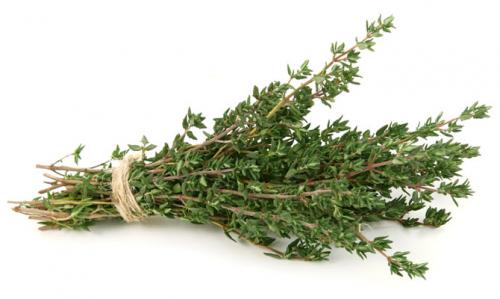 Что такое тимьян. Тимьян