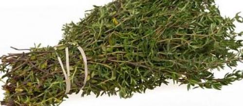 Какие вредители могут повредить тимьян на зиму. Свойства тимьяна, его применение и проблемы при выращивании