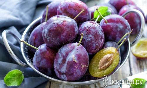 Как правильно хранить белые сливы на зиму. Как правильно хранить сливы