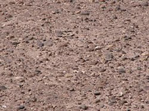 Экологические решения для зимних городов: как сохранить растения при сильных морозах 04