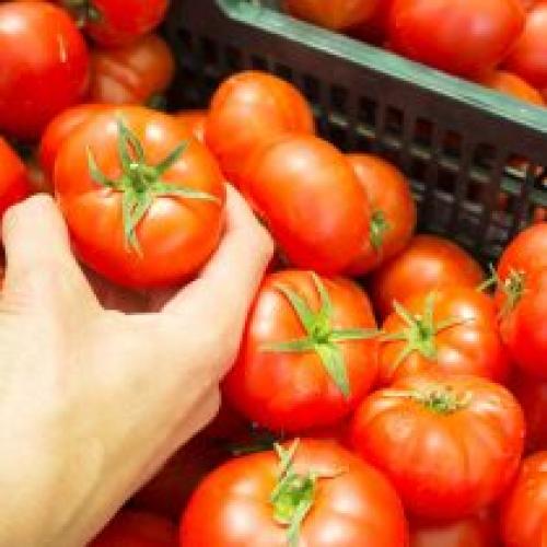 Не вымерзают даже при сильных морозах. Как защитить растения от мороза