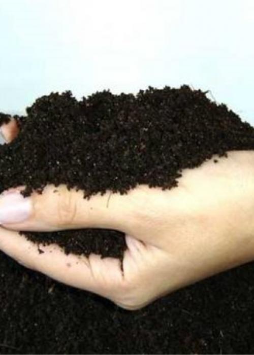 Как сажать луковицы пионов. ПРАВИЛЬНАЯ ПОСАДКА ПИОНОВ – ЗАЛОГ ИХ КРАСОТЫ И ДОЛГОЛЕТИЯ 09 Как сажать луковицы пионов. ПРАВИЛЬНАЯ ПОСАДКА ПИОНОВ – ЗАЛОГ ИХ КРАСОТЫ И ДОЛГОЛЕТИЯ 09