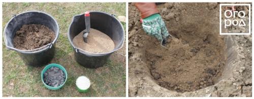 Как сажать луковицы пионов. ПРАВИЛЬНАЯ ПОСАДКА ПИОНОВ – ЗАЛОГ ИХ КРАСОТЫ И ДОЛГОЛЕТИЯ 22 Как сажать луковицы пионов. ПРАВИЛЬНАЯ ПОСАДКА ПИОНОВ – ЗАЛОГ ИХ КРАСОТЫ И ДОЛГОЛЕТИЯ 22